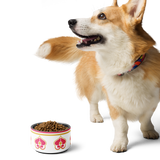 Magenta Mad Tea Pet Bowl (18 oz & 32 oz)