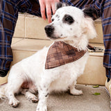 15th Doctor Bandana (Pet & Human Accessory) S, M, & L